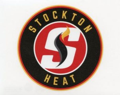 2016 Upper Deck AHL Wordmark Logo Window Cling Box Topper