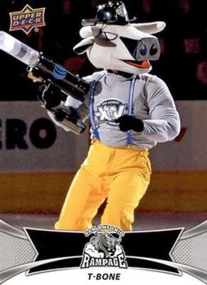 2016 Upper Deck AHL #TM19 Team Mascots