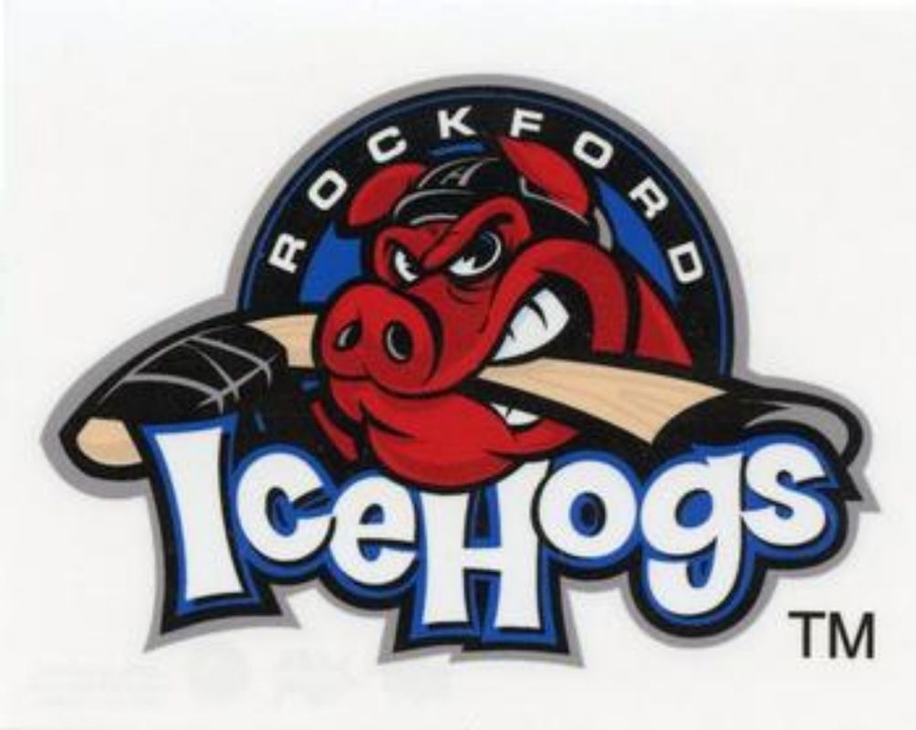 2016 Upper Deck AHL Wordmark Logo Window Cling Box Topper