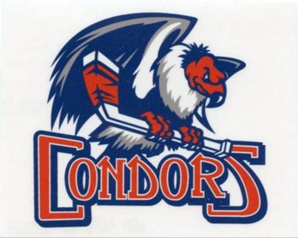 2016 Upper Deck AHL Wordmark Logo Window Cling Box Topper