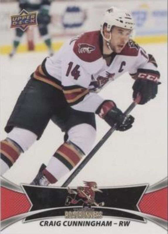 2016 Upper Deck AHL #71 Red