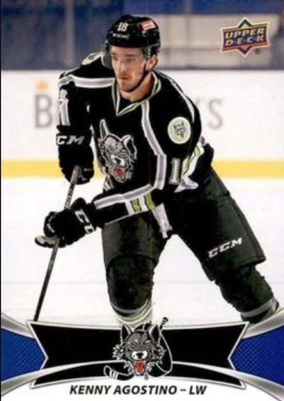2016 Upper Deck AHL #78 Base