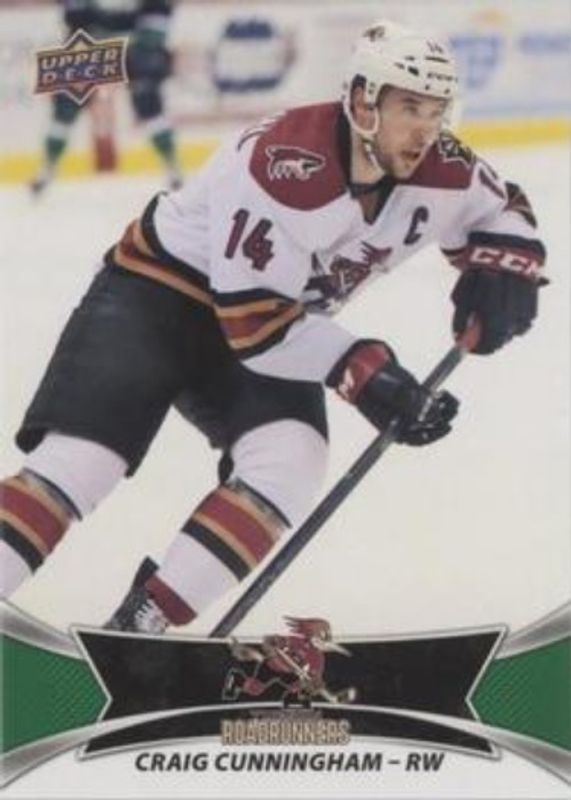 2016 Upper Deck AHL #71 Green