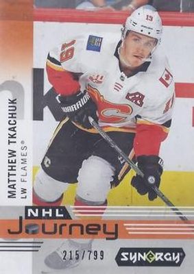 2019 Upper Deck Synergy #NP-5 NHL Journey 2018 Season /799