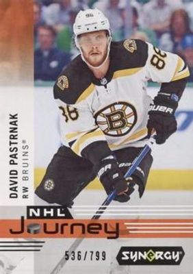 2019 Upper Deck Synergy #NP-8 NHL Journey 2018 Season /799