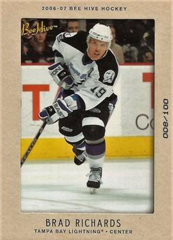 2006 Upper Deck Beehive #10 Matte /100