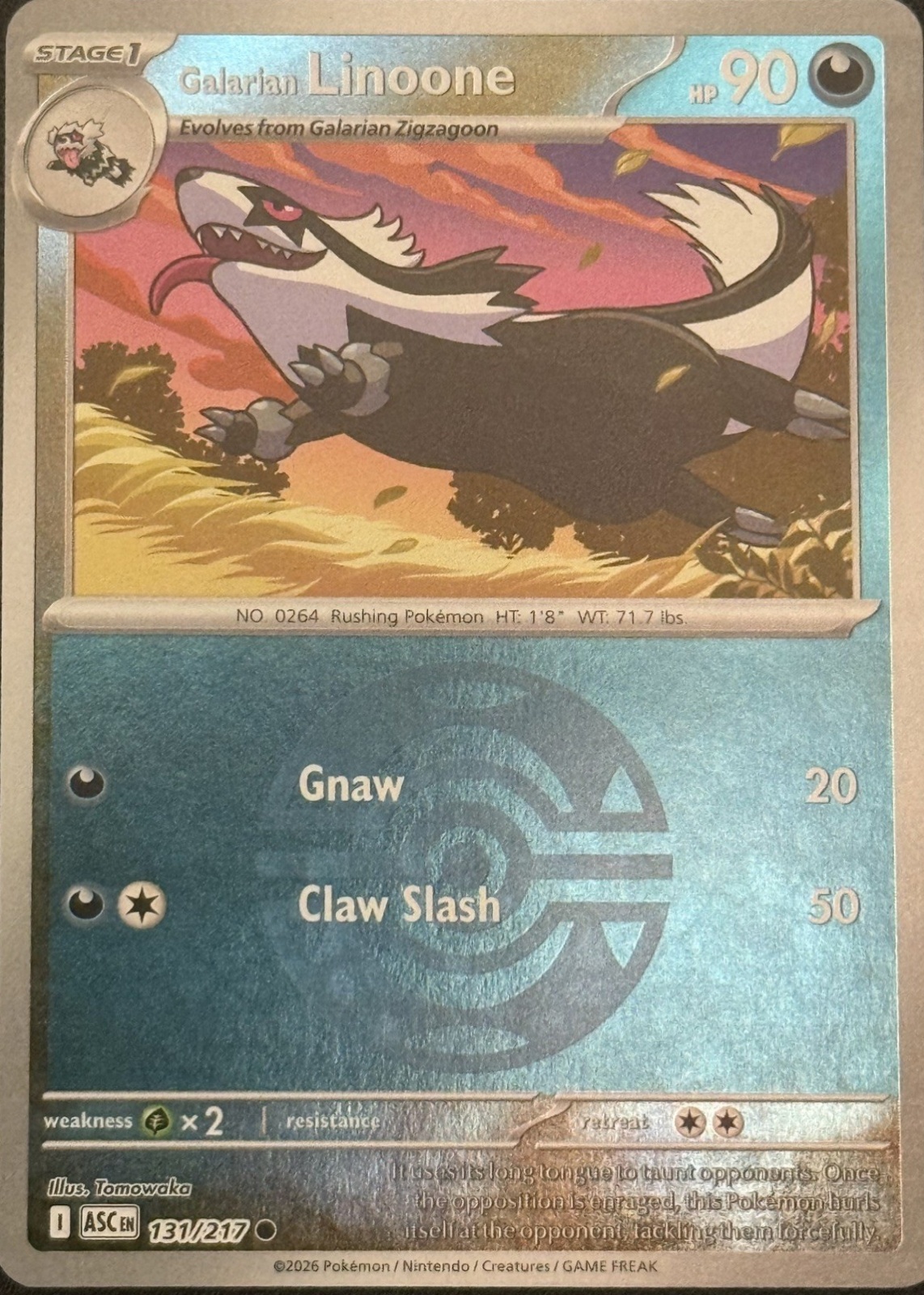 card holders for pokemon cards Pokemon Card Album