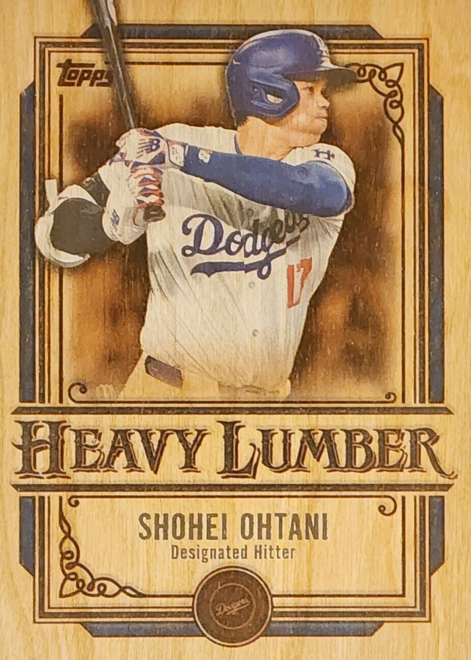 856756?ts=1740486655136