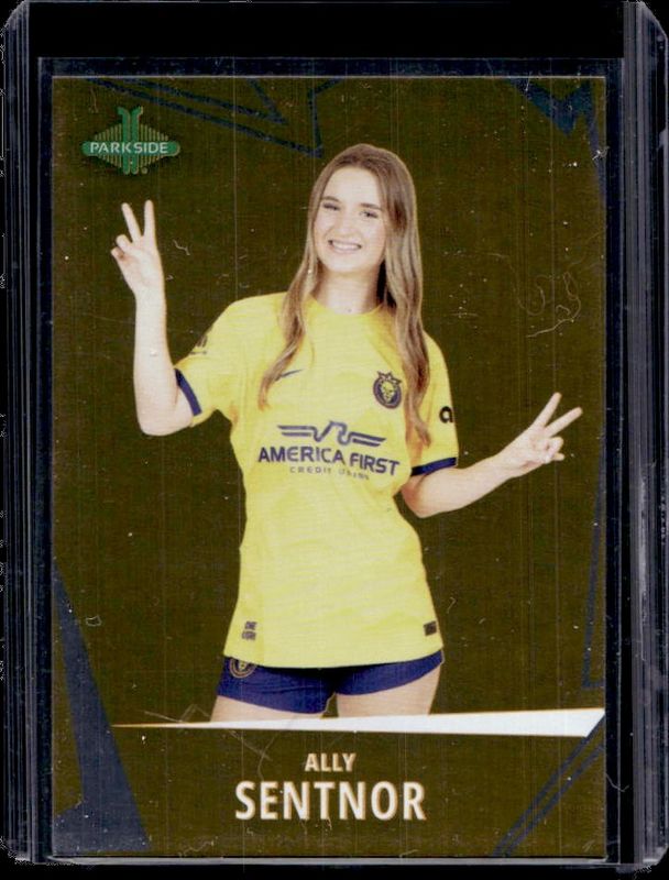 2024 Parkside NWSL Collection #6 Astral