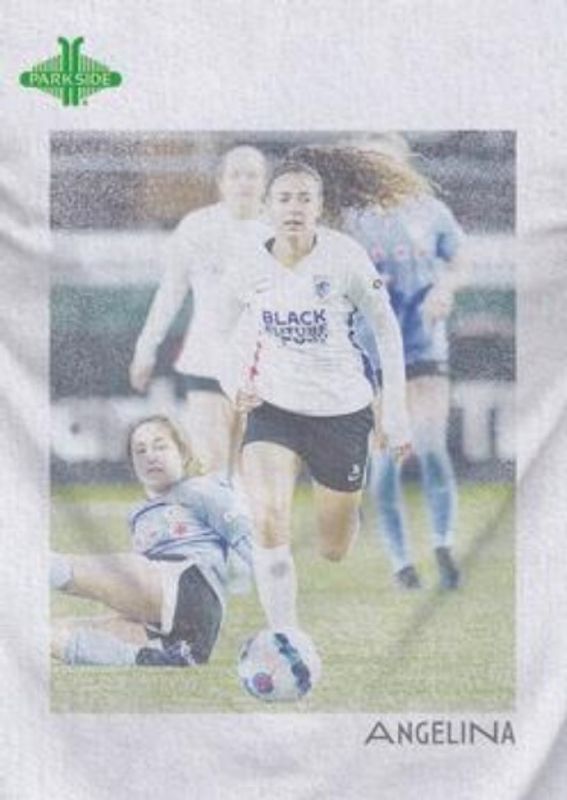 2022 Parkside NWSL Collection #19 Vintage