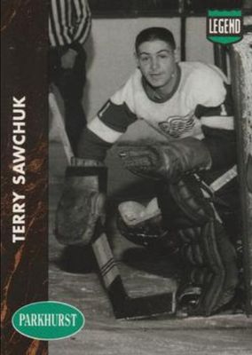 1991 Parkhurst #PHC9 Collectibles