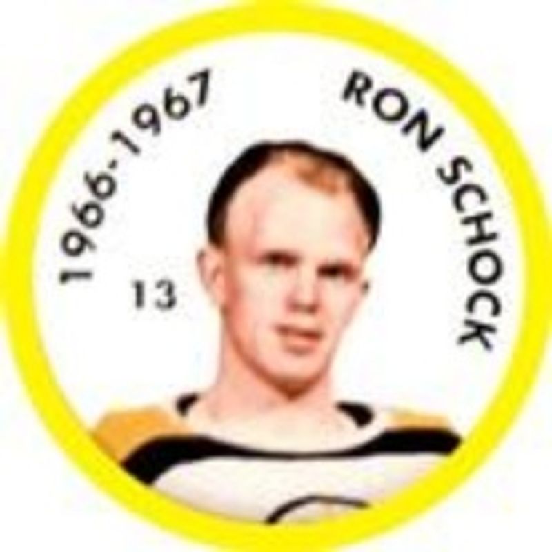 1995 Parkhurst 1966-67 #13 Coins