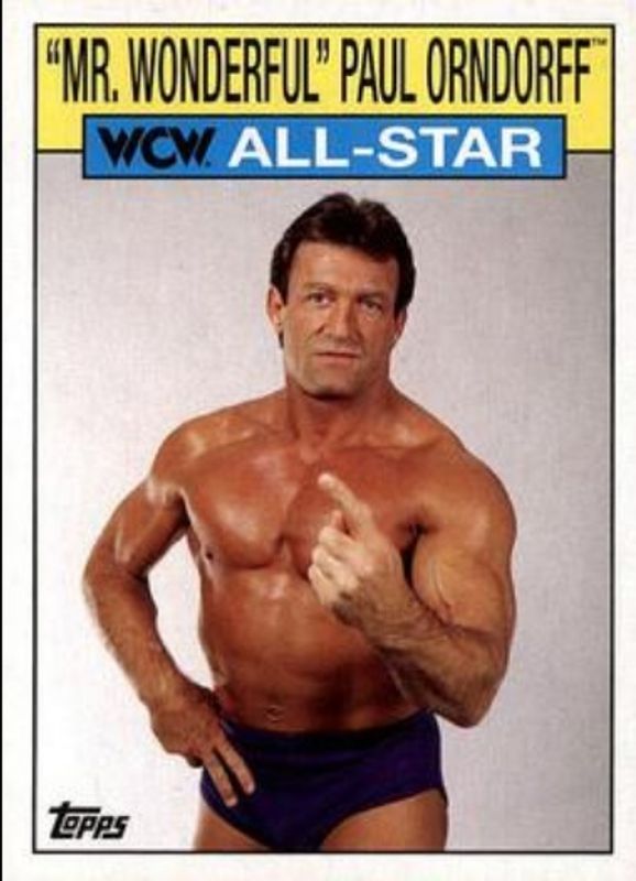 2016 Topps Heritage WWE #31 WCW nWo All Stars