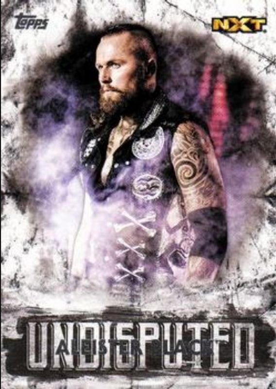 2018 Topps WWE Undisputed #47 Base