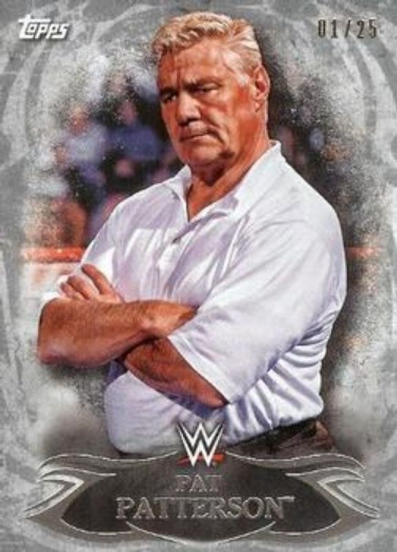 2015 Topps WWE Undisputed #94 Silver /25
