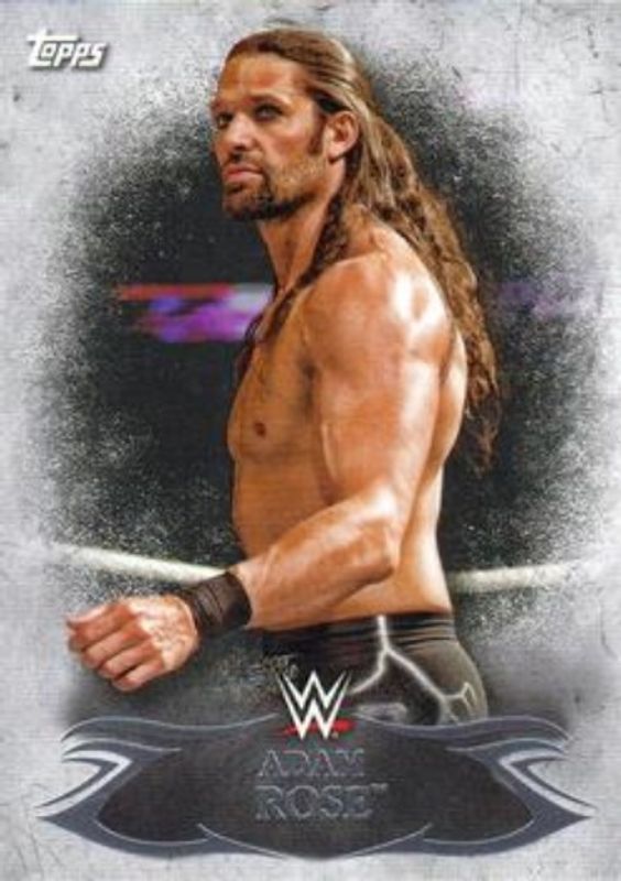 2015 Topps WWE Undisputed #62 Base