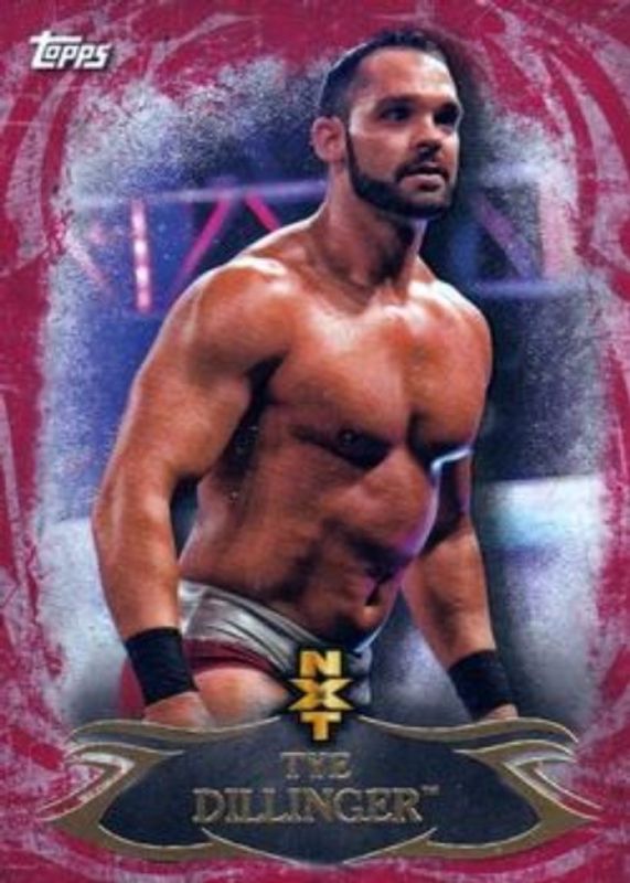 2015 Topps WWE Undisputed #NXT-18 NXT Prospects - Red