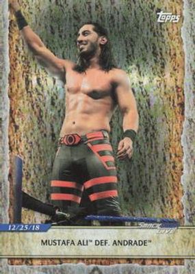 2020 Topps WWE Road to WrestleMania #76 Foilboard