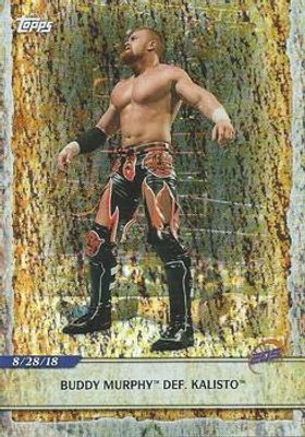 2020 Topps WWE Road to WrestleMania #2 Foilboard