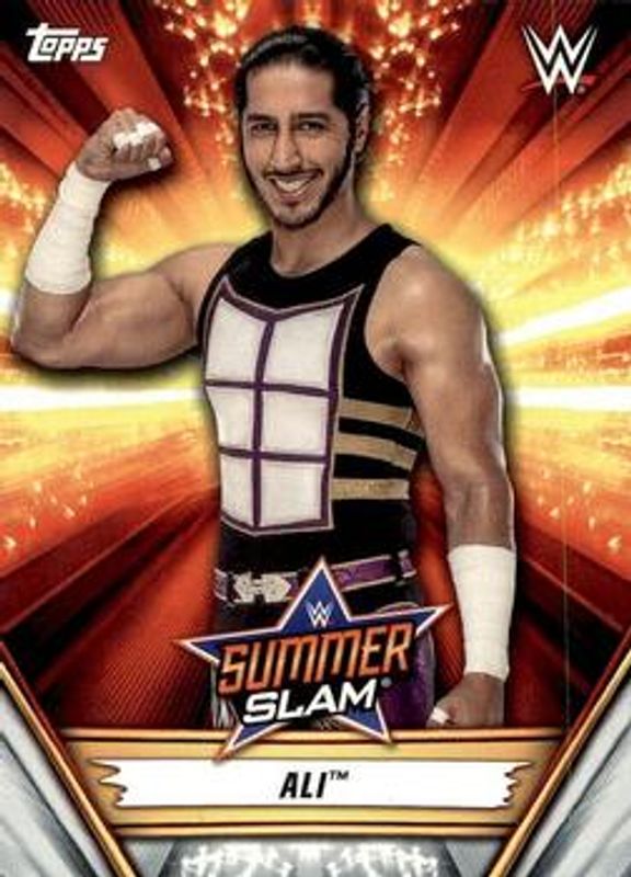 2019 Topps WWE SummerSlam #28 Base