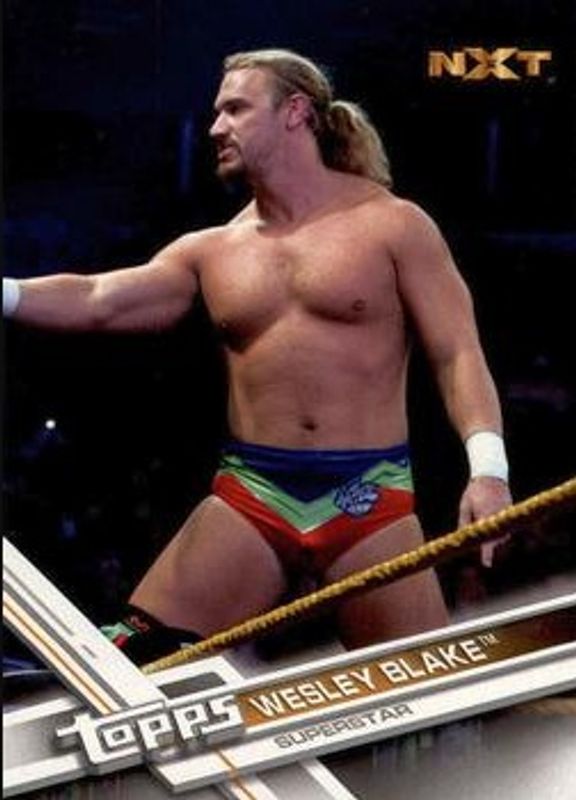 2017 Topps WWE Then Now Forever #180 Base