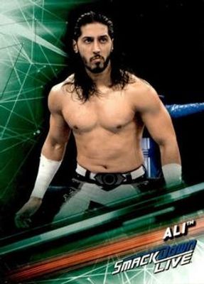 2019 Topps WWE SmackDown Live #3 Green
