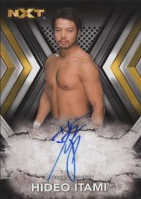 2017 Topps WWE NXT #RA-HI Autographs