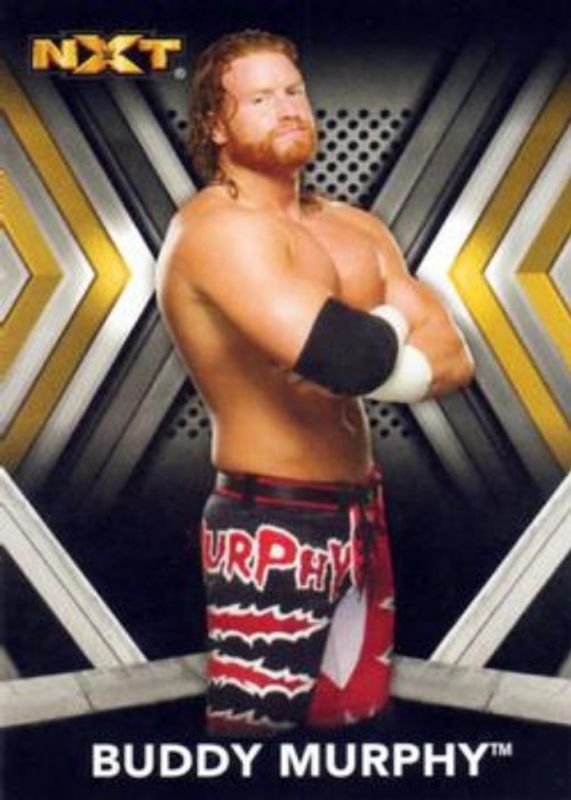 2017 Topps WWE NXT #10 Base