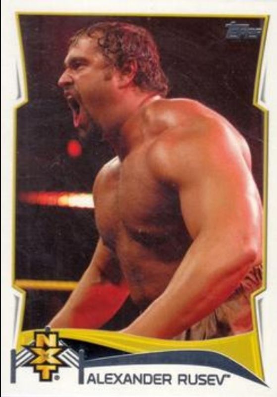 2014 Topps WWE #2 NXT Prospects