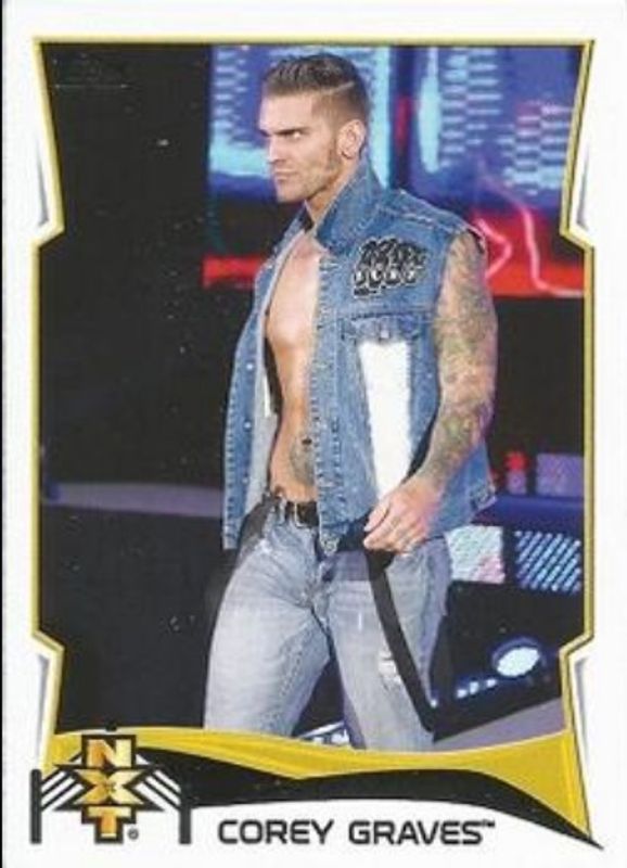 2014 Topps WWE #8 NXT Prospects