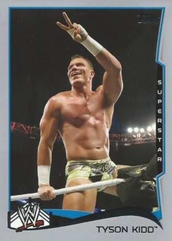 2014 Topps WWE #91 Silver