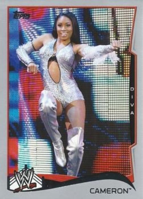 2014 Topps WWE #10 Silver