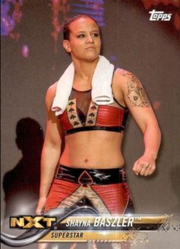 2018 Topps WWE Then Now Forever #176 Base