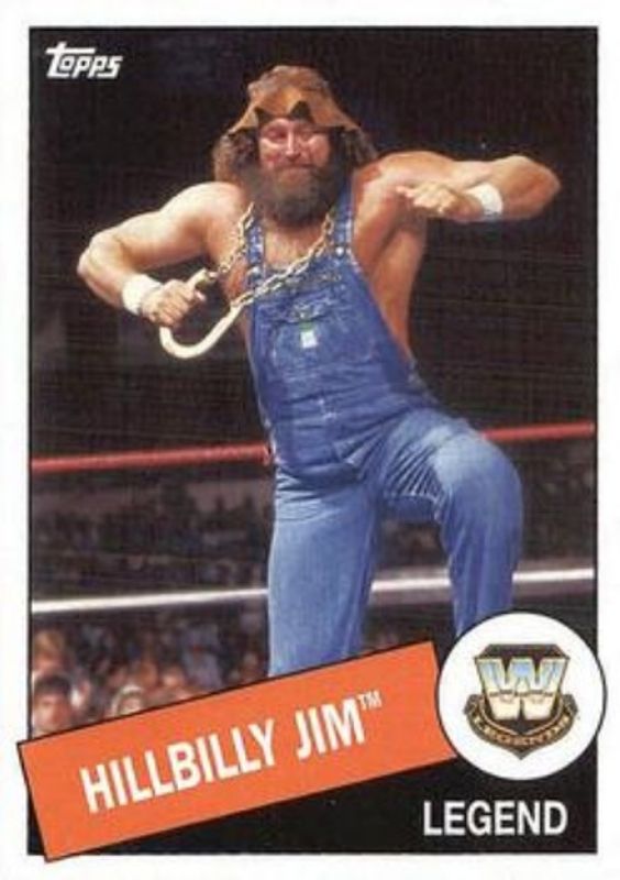 2015 Topps WWE Heritage #23 Base