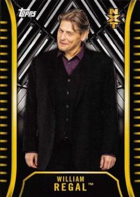 2018 Topps WWE NXT #R-49 Base