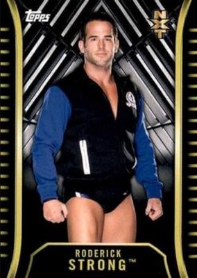 2018 Topps WWE NXT #R-28 Base