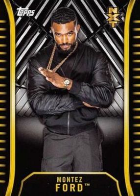 2018 Topps WWE NXT #R-19 Base