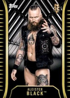 2018 Topps WWE NXT #R-3 Base