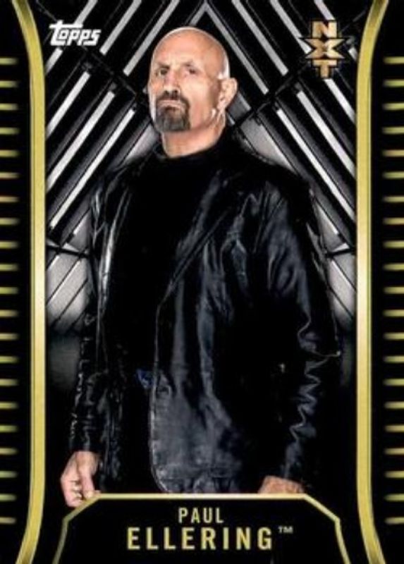 2018 Topps WWE NXT #R-24 Base