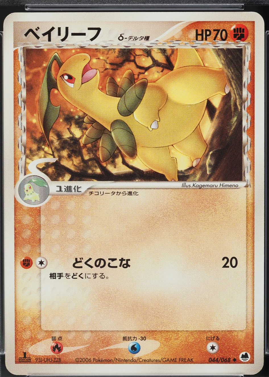Bayleef Pokemon Cards Price Guide - Sports Card Investor
