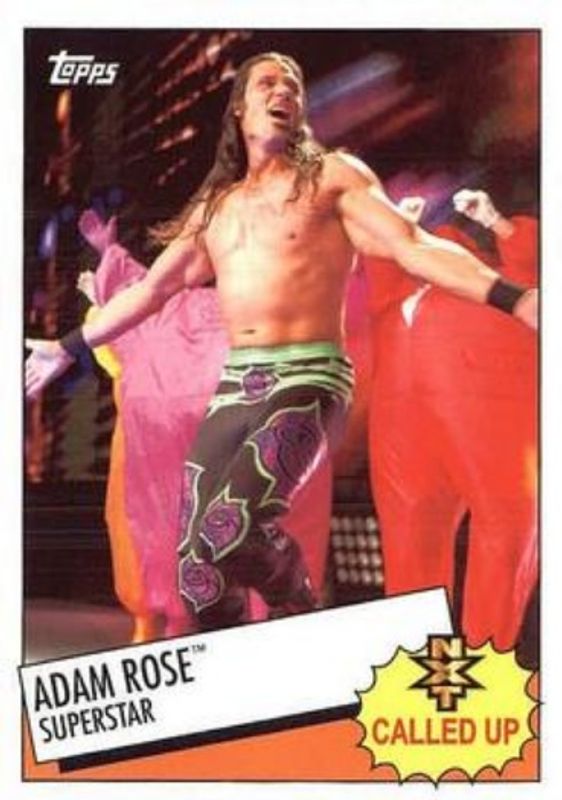 2015 Topps WWE Heritage #19 NXT Called Up