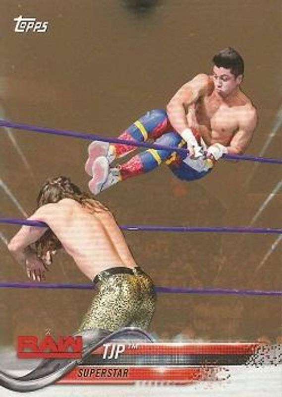 2018 Topps WWE #90 Bronze