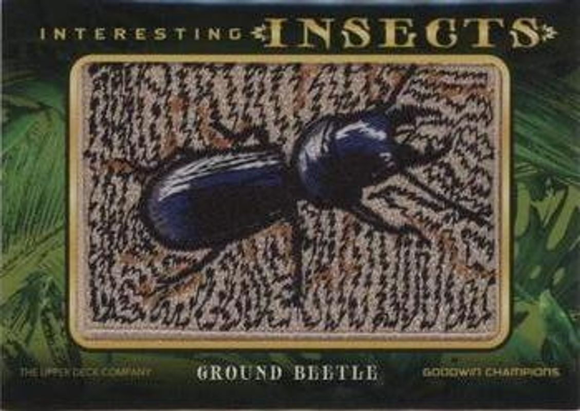 Ground Beetle MA Multi-Sport Cards Price Guide - Sports Card Investor