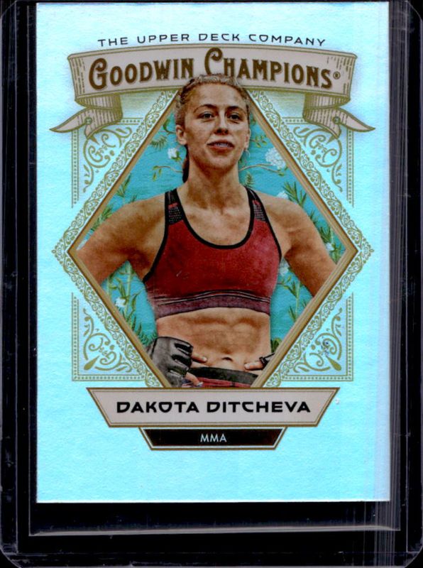 2025 Upper Deck Goodwin Champions #71 Rainbow