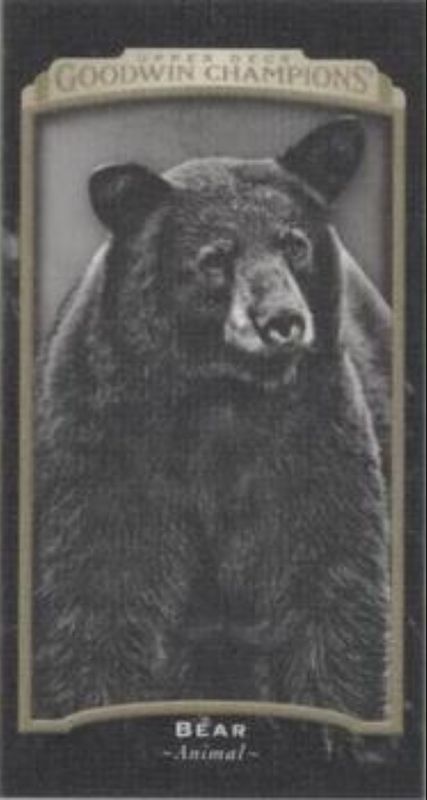 2017 Upper Deck Goodwin Champions #112 Canvas Minis