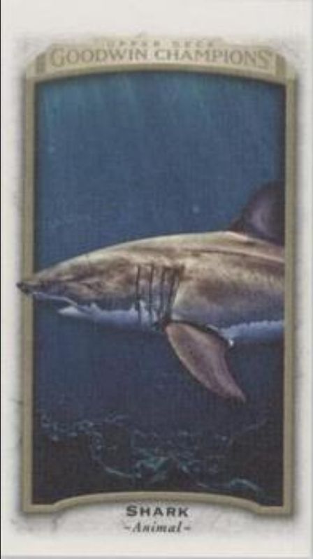 2017 Upper Deck Goodwin Champions #74 Canvas Minis