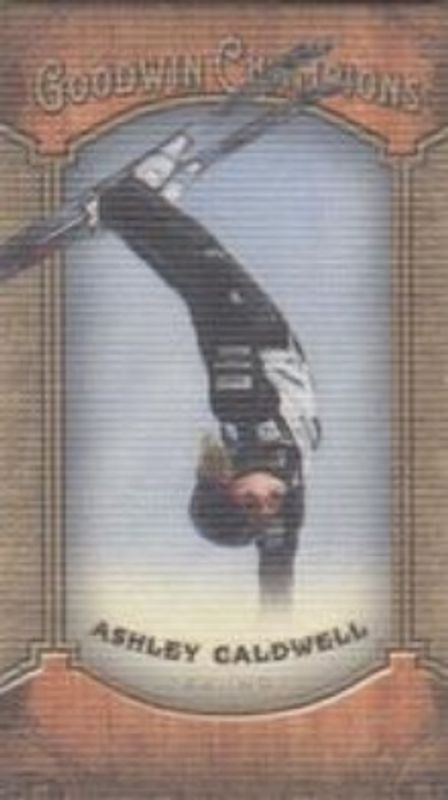 2014 Upper Deck Goodwin Champions #29 Mini - Canvas /99