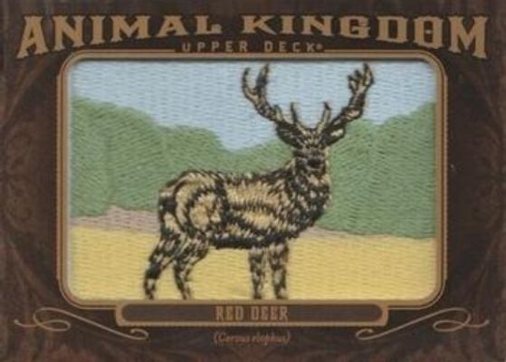2013 Upper Deck Goodwin Champions #AK-211 Animal Kingdom Patches