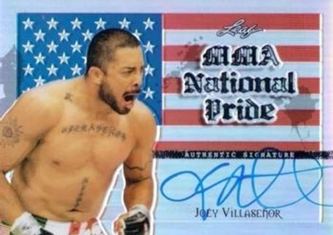 2011 Leaf Metal #NP-JV1 National Pride Silver /25