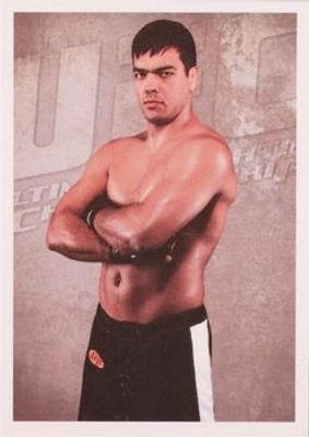 2011 Panini UFC Stickers Brazil #9 Base